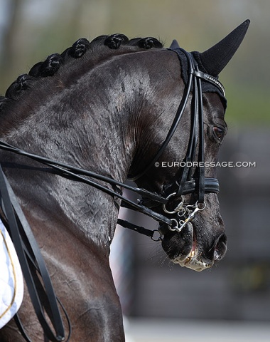 Kristin Biermann's My Dream (by Millennium x Ituango xx)