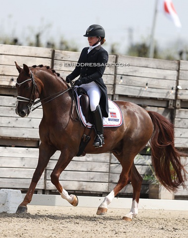 Norway's Therese Bragstad on the 13-year old Double Donnerhall (by Dimaggio x Sir Donnerhall). The literally shaky bridle contact made it difficult for harmony to be achieved today