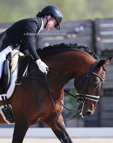 Hong Kong's Yuddy Cheng pats the Lusitano Damasco (by Quixote)