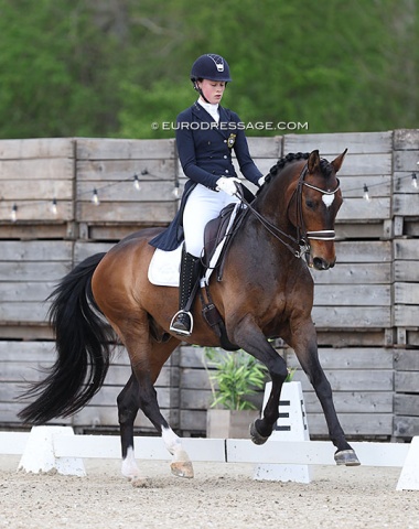 Siri Ehrnrooth on Faustino (by Figaro R x Bernstein)