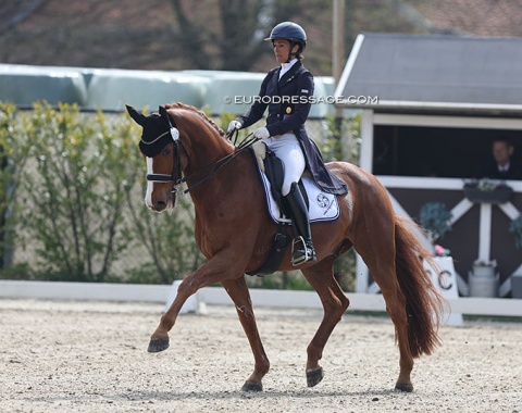 Antonella Joannou on Dandy de la Roche (by Dressage Royal x Walt Disney)