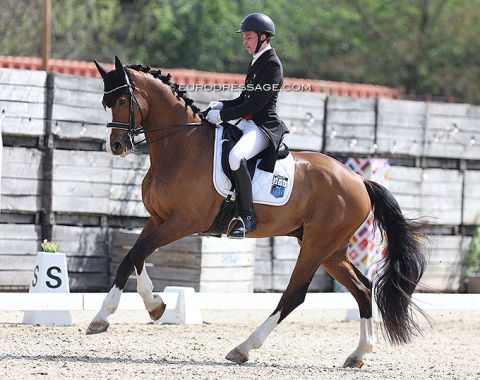 Hector Milochevitch on Felipino (by Florenciano x Ehrentusch)