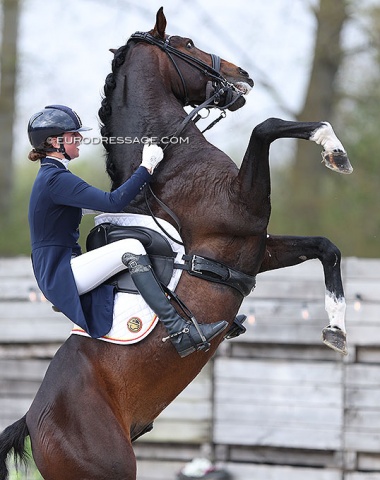 Zoe Niessen and Paco Rabanne (by Charmeur x Donnerschlag) in miscommunication. 