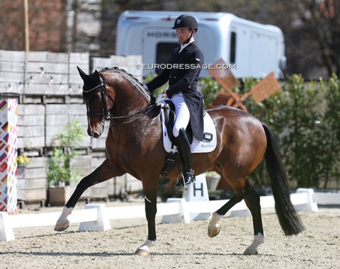 Geert-Jan Raateland makes his debut on new GP ride Gladiator, a 9-year old Totilas x Havidoff