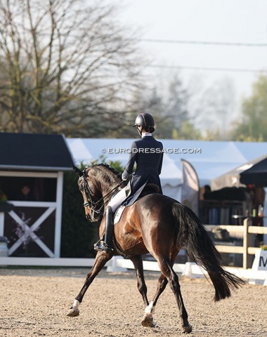 Thalia Rockx on Gerda Nova (by Romanov), the dam of her 2021 WCYH finalist horse Koko Jr de la Fazenda (by Toto Jr)