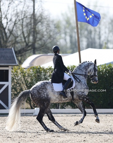 German based Thai Chanjanok Klara Ruecker on Calif (by Calibri x Callistus)