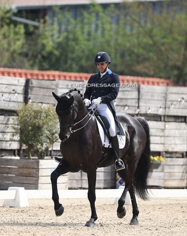 Cristian Tudela Ruiz on Blue Hors Zick Flower (by Zack x Romanov)