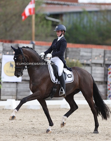 Anniek van Dulst on Kadanz (by Charmeur x Negro)