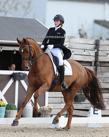 Antonia von Andrenyi on Santa Maria (by Sir Donnerhall x Weltmeyer)