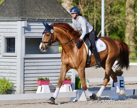 German Angela Scharpff instilling confidence in her big framed and big moving, but comparatively inexperienced 6-year-old Westfalian gelding Sir Conhos (by Sir Heinrich-Fleurop).