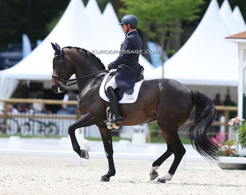 Another pair that showed much improvement: Filipe Canelas on Fortuna (by Fidertanz x De Niro)