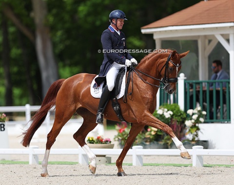 Jan Ebeling on Bellena (by Belissimo M x Welser), definitely one of the highest quality Grand Prix horses in the pack