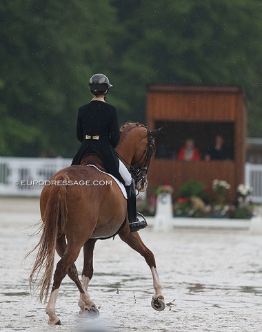 Camille Judet Cheret on Scoop du Bois Luric (by Earl x Thurin)