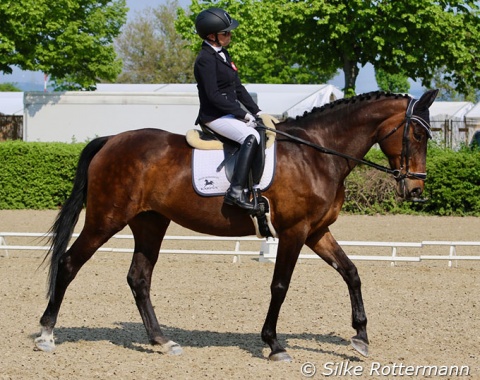 Polish Grade 1 rider Magdalena Cycak warming up her 14-year-old mare Sybilla (by Quamiro x Sherlock Holmes).