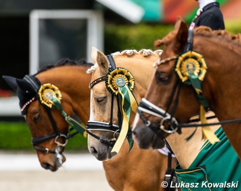 Ribbon ponies