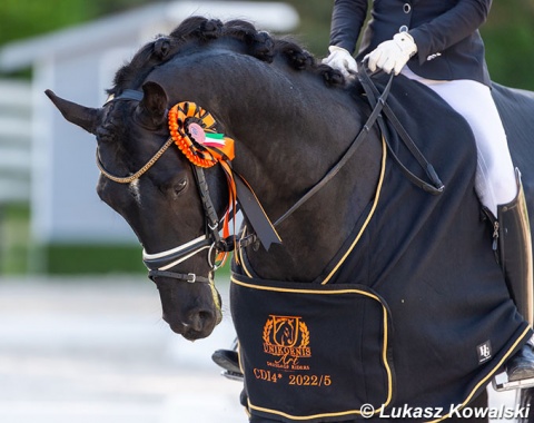 Trophy horse, Romeo von Furstenball