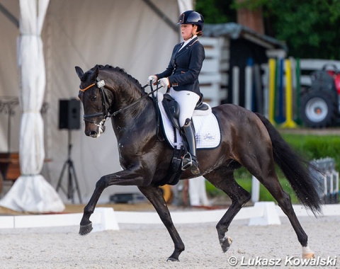 Jeanine Nieuwenhuis on Shape of You (by Blue Hors St. Schufro x De Noir)