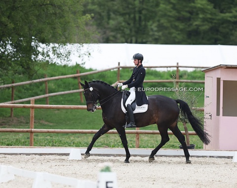 Show host Lukas Blatzheim on Errol (by Earl x Chasseur)