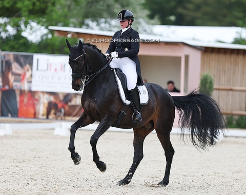 Andrea Timpe on Friesen Ball (by Furstenball x Sandro Hit)