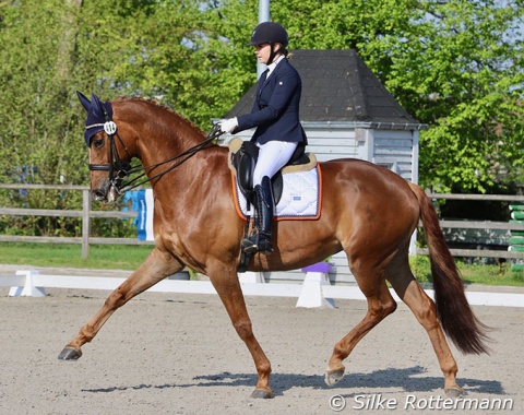 Demi Haerkens and Danielle Heijkoop's former ride Daula, another promising pair from The Netherlands in grade IV.