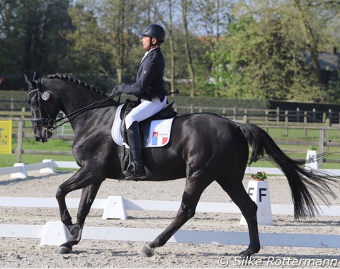 The former rider of Chiara Zenati’s Swing Royal IFCE, France’s José Letartre and his own Hamilton in grade IV.