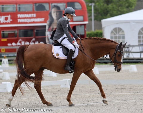 The side-saddle is gone: Belgian grade III rider Barbara Minneci was famous for competing in the side-saddle. In Waregem she debuted astride. It didn’t lessen her elegance with Stuart.