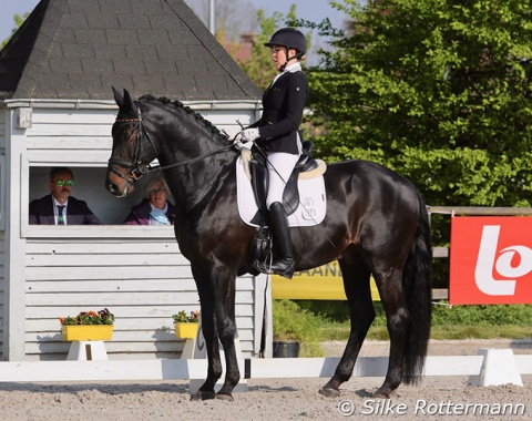 German Gianna Regenbrecht showed Elke Philipp’s Tryon bronze medalist Lord Sinclair in grade 2. 