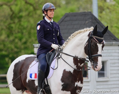Peggy Touzard rode successfully one of two stallions in Waregem: Bretzel des Feeries impressed with his good attitude and rideability in grade V.