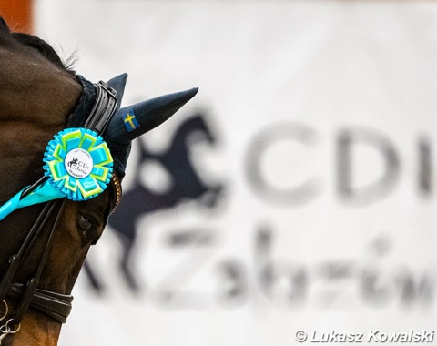 Zakrzow ribbon