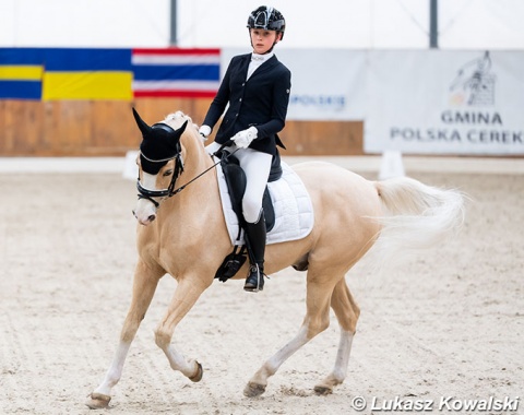 Barbara Rynkowska on Leuns Veld's Winston (by Bodo x Kooihuster Folkert)
