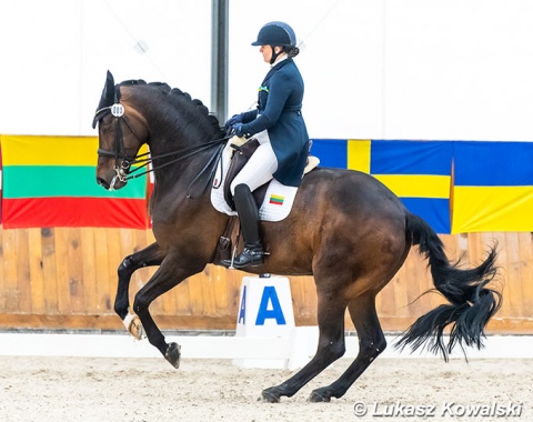 Justina Vanagaite on Nabab (by Sir Donovan x Krack C)