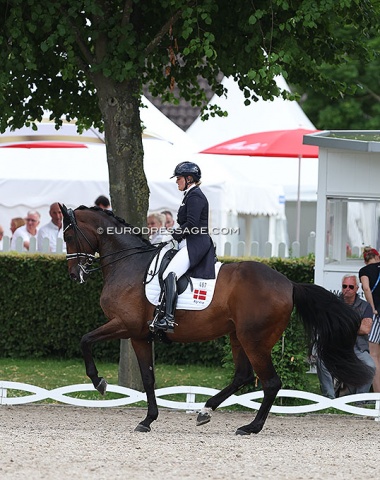 Lone Bang Larsen warming up Thranegaardens Rostov (by Romanov x Diamond)