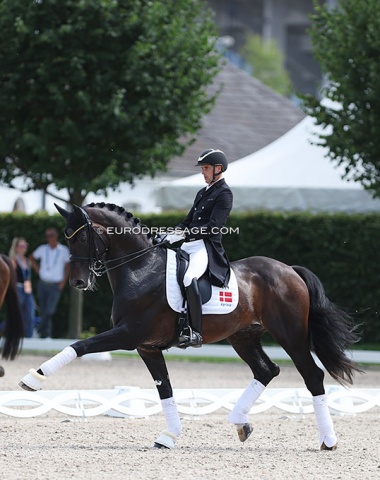 Andreas Helgstrand warming up Jovian