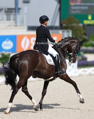 Isabell Werth on Superb (by Surprice x Donautanz)