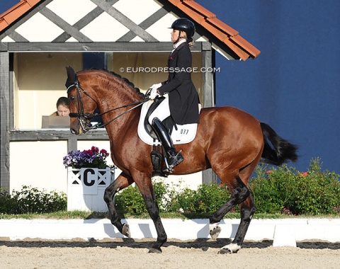 Yara Reichert on Valverde (by Vitalis x Ampere) in the Intermediaire A