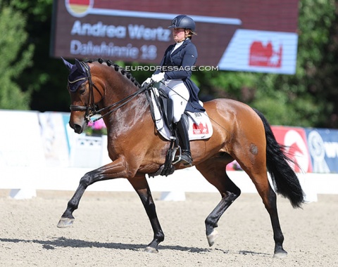 Andrea Wertz rode Dalwhinnie (by Don Tango B x United) in the national classes