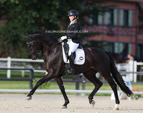 Krista Kolijn on the KWPN licensed stallion Lord Diamond
