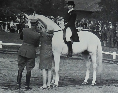 Although the combined class (duty and freestyle class) did not belong to the World Championships, 13 of the 24 riders who did not qualify for the ride-off took their chance and rode there instead. Swiss Marianne Gossweile and her Olympic mount Stephan won.