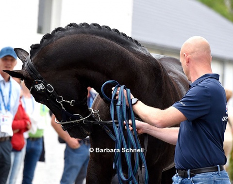 Niek Harink trotting up Charlotte Fry's Everdale