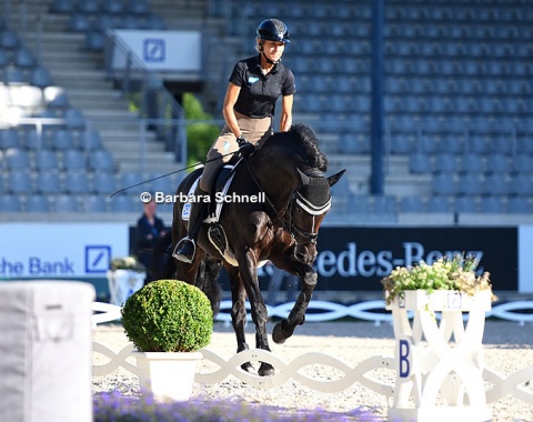 Ingrid Klimke schooling Freudentanzer