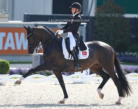 Nanna Skodborg Merrald on the darling mare Atterupgaards Orthilia. Strong canter work and the lovely passage could not sufficiently make up for the gaping mouth with sugar all over the muzzle and reins