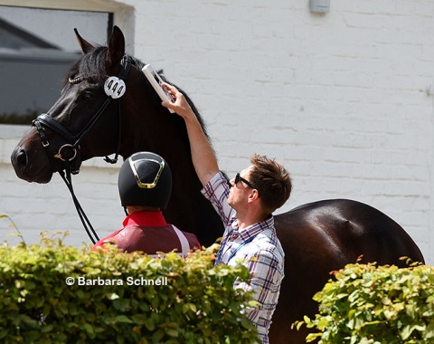 At the horse inspection all microchips gets scanned