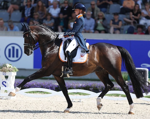 Marieke van der Putten on the Danish bred Torveslettens Titanium (by Totilas x Stedinger)