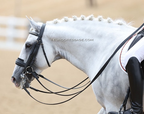 Jackpot do Penedo (by Idolo x Justiceiro)