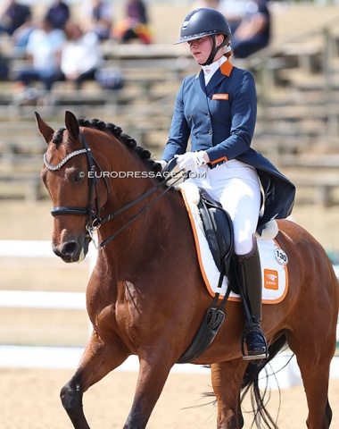 Brandy Bos on Florett W (by Jazz x Sandro Hit)