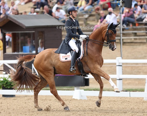Sergio Moron Basoco on Farnham L (by Furst Rousseau)