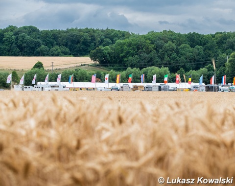 Wheat fields next to Gestut Schafhof