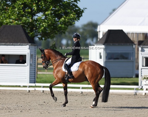 One immediately recognizes a Belgian CDI by these grey judges' boxes. Morgan Barbançon on Bolero