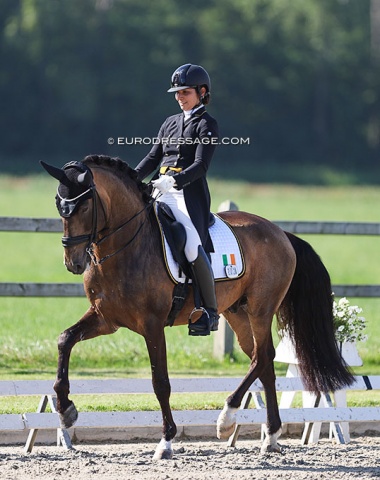 Jennifer Harnett on the Lusitano Eximio (by Zircon x Regalo )