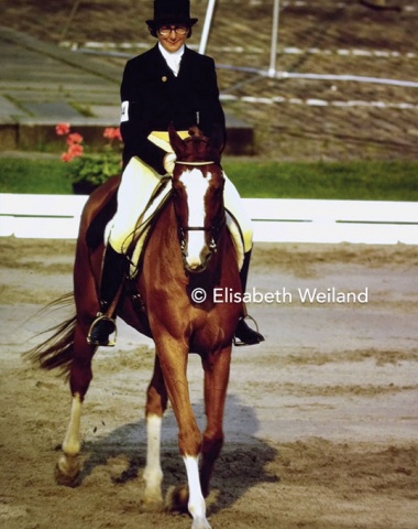 Frederica Benedictus-Lieftnick from The Netherlands competed Fulmer’s Rascal in Copenhagen and placed 27th. 